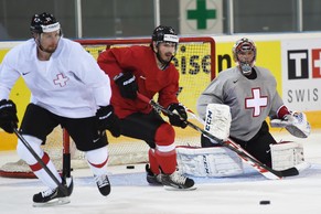 Robert Mayer (r.) kehrt in die Schweiz zurück.