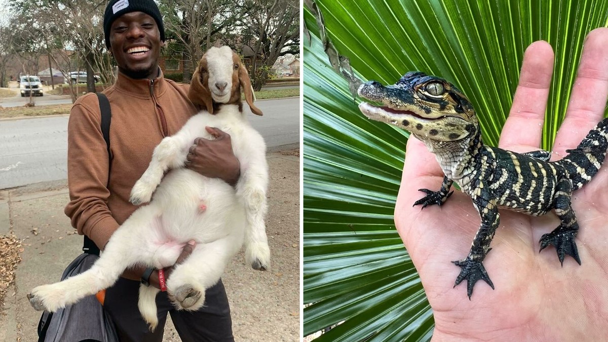 Heartwarming Animal News Guaranteed to Make You Smile