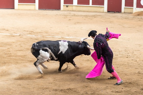 Der Stierkampf ist in Südfrankreich populär.