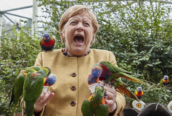 German Chancellor Angela Merkel feeds Australian lorikeets at Marlow Bird Park in Marlow, Germany, Thursday Sept. 23, 2021. (Georg Wendt/dpa via AP)