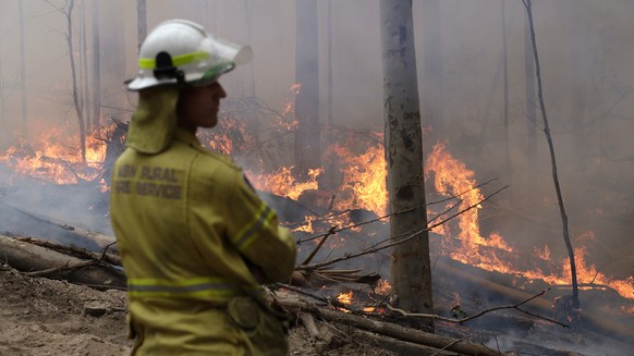 A firefighter keeps an eye on a controlled fire as they work at building a containment line at a wildfire near Bodalla, Australia, Sunday, Jan. 12, 2020. Authorities are using relatively benign condit ...