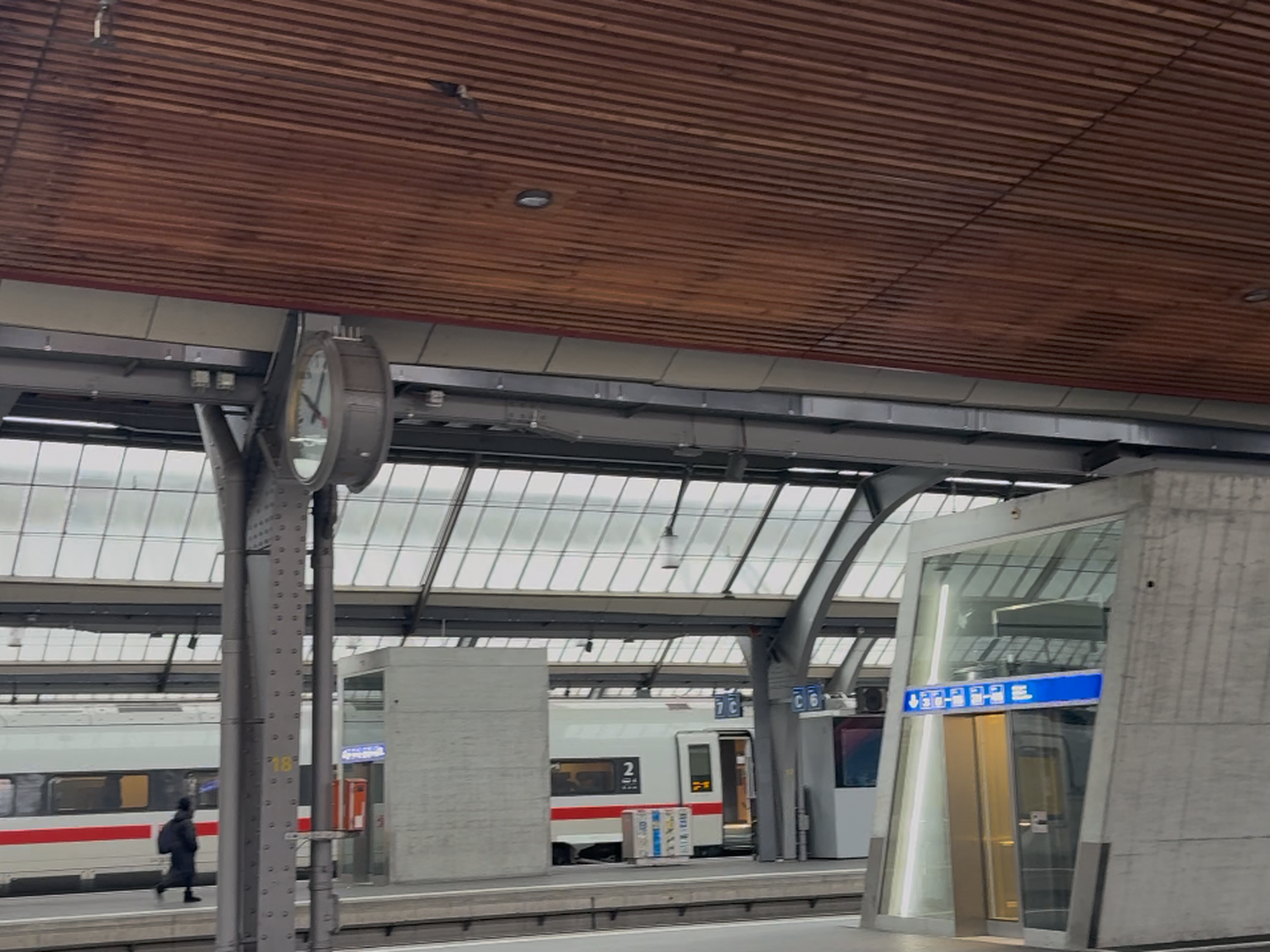 Eine tote Taube in der Decke am HB Zürich