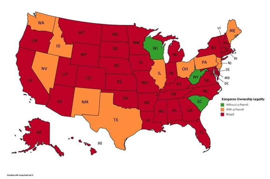 Terrible Maps world maps The legality of owning a kangaroo in the United States https://twitter.com/TerribleMaps/status/1597710831596150785