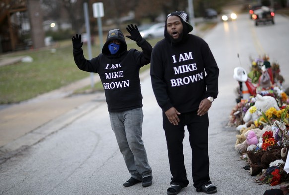 Protestierende am 24. November beim Denkmal für Michael Brown.