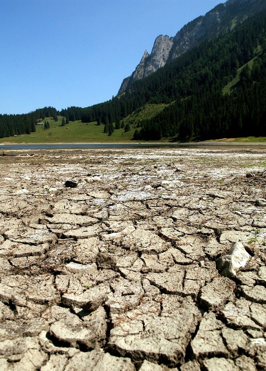 Ausgetrocknete Schlammboeden zeugen am Montag, 11. August 2003 am Ufer des Voralpsees oberhalb vom St. Gallischen Grabs von der grossen Trockenheit. Die grosse Hitze mit den hohen Temperaturen fuehrt  ...