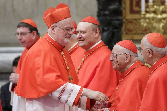 Vatican: Pope Francis appoints 5 new Cardinals New Cardinal Anders Arborelius greets by other Cardinals after he received the red three-cornered biretta hat from Pope Francis during the Ordinary Publi ...