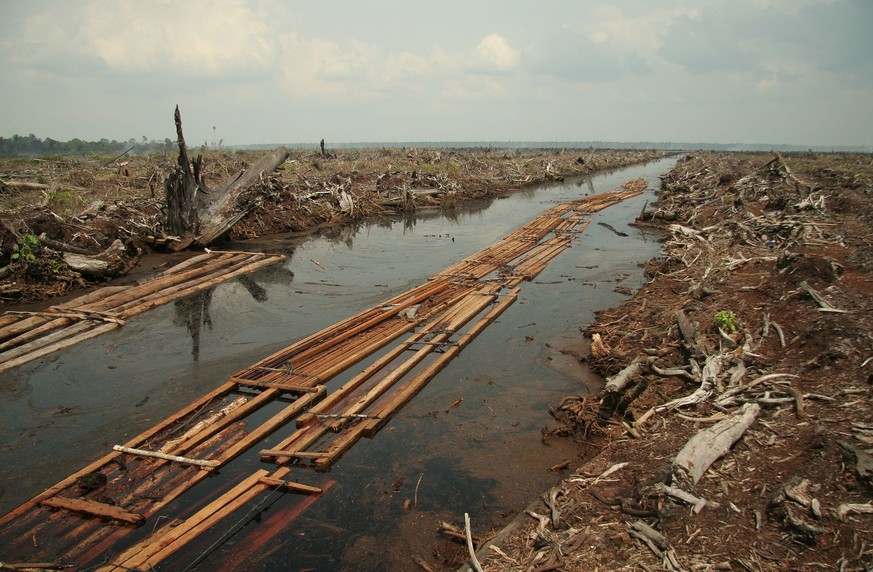 Waldrodung

https://de.wikipedia.org/wiki/Entwaldung#/media/File:Riau_deforestation_2006.jpg