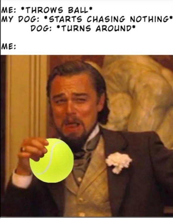 Los! Surfe mit Phteven durch den PICDUMP!*
Bad boys, bad boys
Whatcha gonna do, whatcha gonna do
When they come for you... ЁЯШИЁЯдг