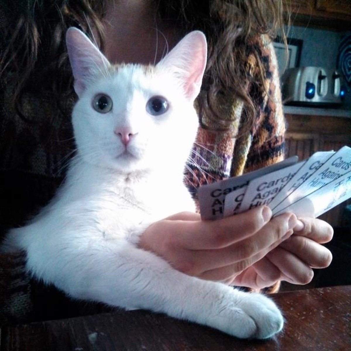 weisse Katzen Kartenspiel

http://imgur.com/gallery/Ncnkdxb