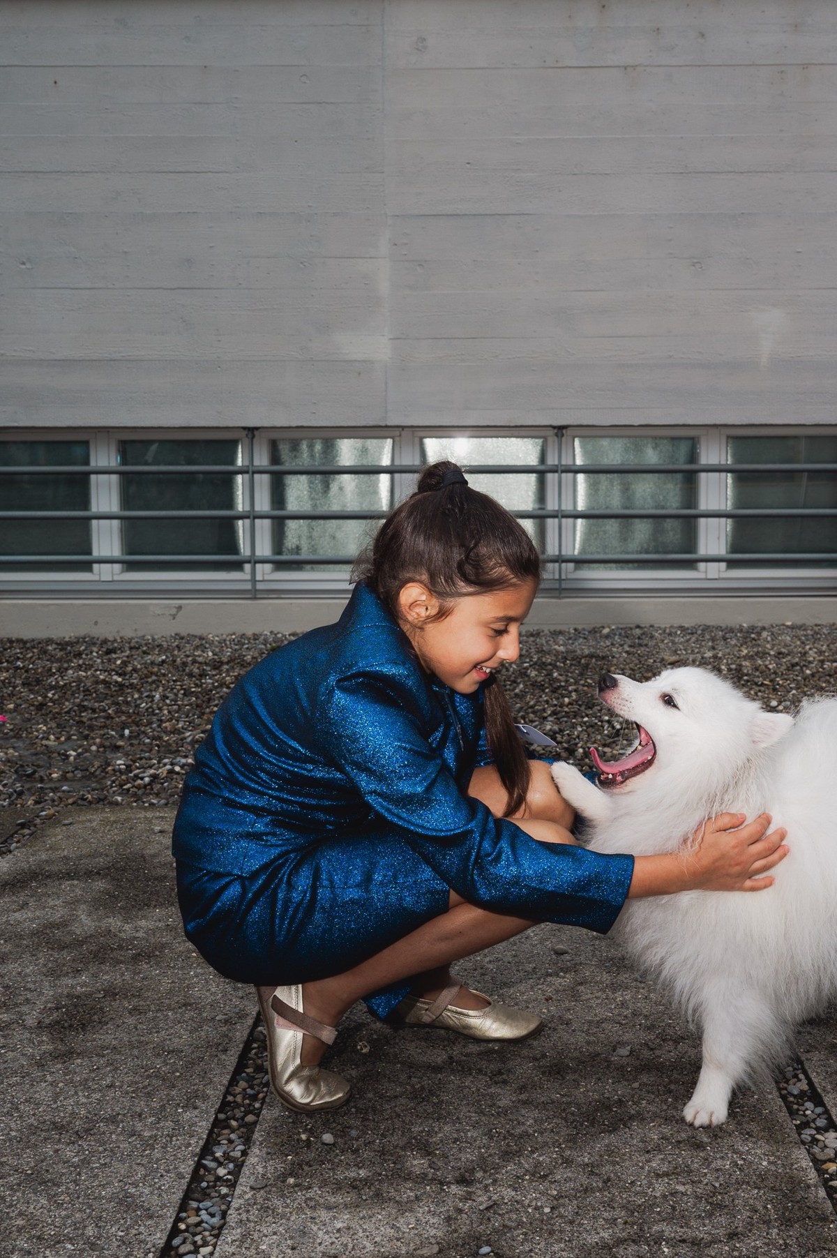Swiss Dog Show in Luzern