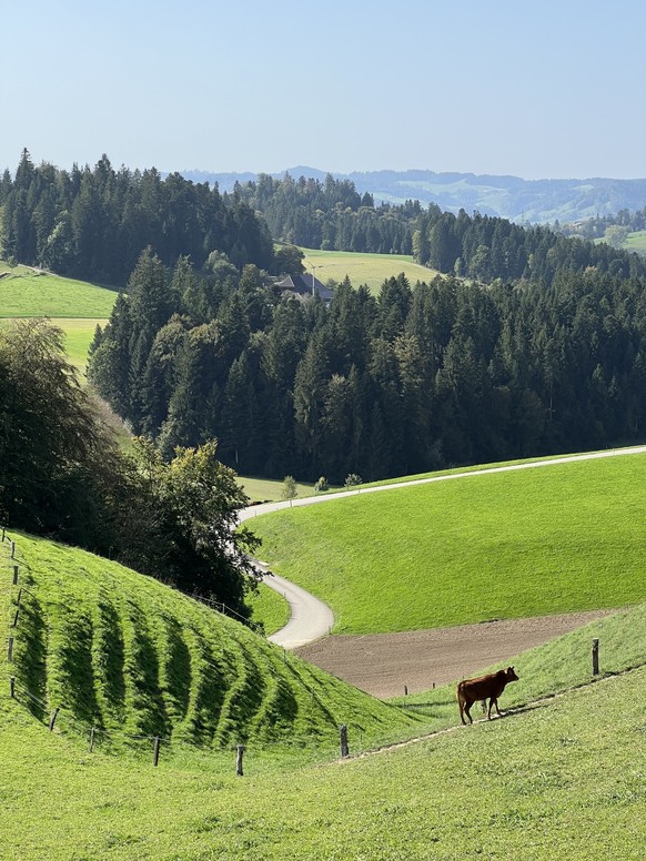 Velotour im goldenen Oktober durchs Emmental