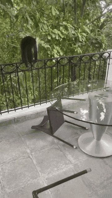 Animiertes GIF