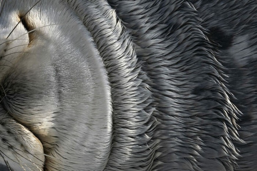 2025 Ocean Photographer Of The Year Awards