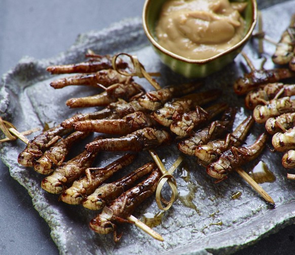 teriaky heuschreckenspiess insekten krabbel küche essen food grillen heuschrecken mehlwürmer buffalo würmer schweiz https://www.essento.ch