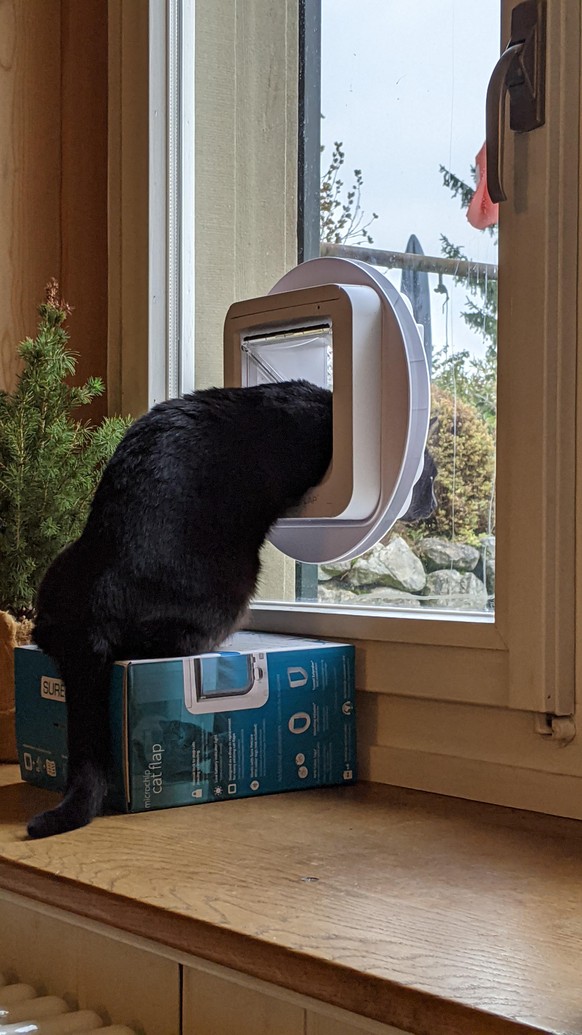 Du brauchst &#039;ne Auszeit vom Alltag-Shizzle? Hier entlang!\nMeine Katze hat schon lÃ¤ngst rausgefunden, wie sie gleichzeitig drinnen und draussen sein kann ð