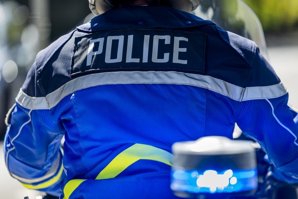 epa12319636 A Swiss police officer observes people holding Ukrainian national flags during a rally to mark Ukraine's Independence Day in Geneva, Switzerland, 24 August 2025. Ukrainians are markin ...