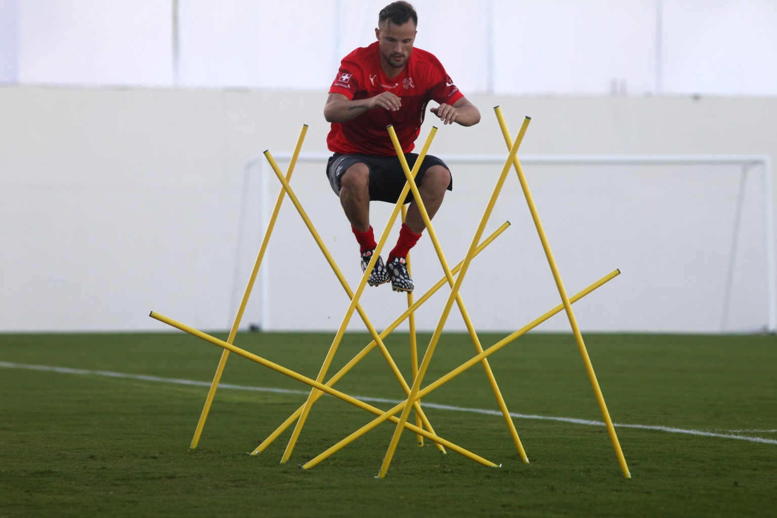 Haris Seferovic im Stangenwald.