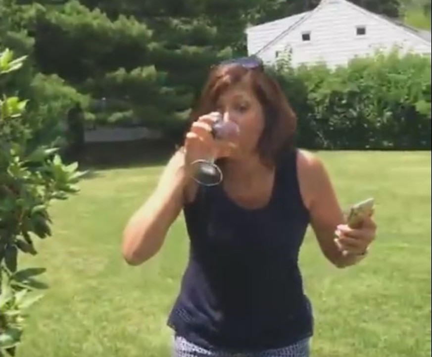 Vergiss Pokémon Go. Hier kommt die witzige Parodie Chardonnay Go. Zielgruppe: Hausfrauen