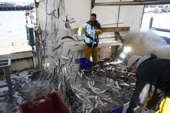 French fishermen sort their catch in the port of Boulogne-sur-Mer, northern France, Tuesday, Nov. 2, 2021. French President Emmanuel Macron said that the U.K. now has until Thursday Oct.4, 2021 to lic ...