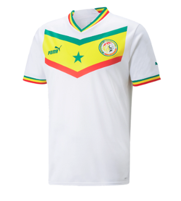 WM 2022: Trikot Senegal