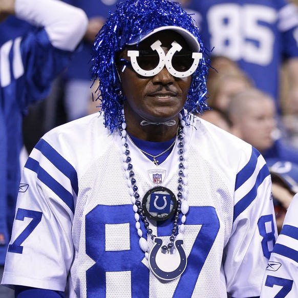 INDIANAPOLIS, IN - NOVEMBER 23: Indianapolis Colts fans look on during the game against the Jacksonville Jaguars at Lucas Oil Stadium on November 23, 2014 in Indianapolis, Indiana. The Colts defeated  ...
