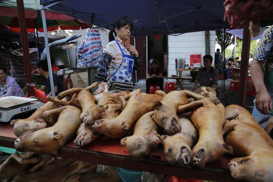 epa05380816 Dog meat for sale at a market in Yulin city, southern China&#039;s Guangxi province, 21 June 2016. The Yulin dog meat festival falls on 21 June 2016, the day of summer solstice, a day that ...