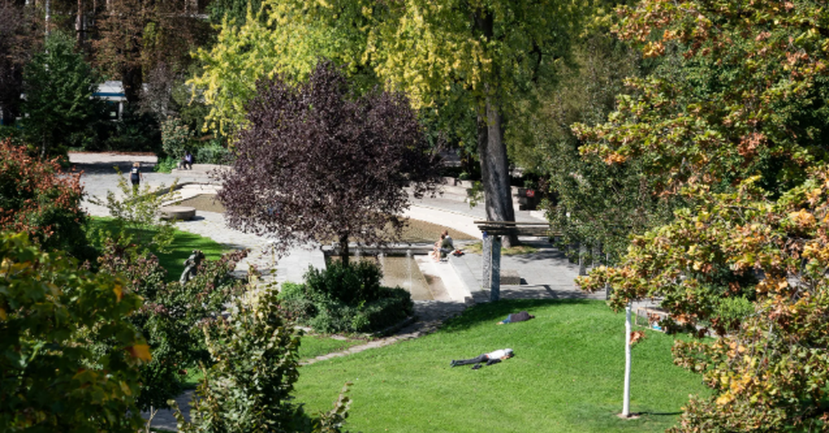 Crack in Zürichs Bäckeranlage – Bistromitarbeiter fürchtet sich