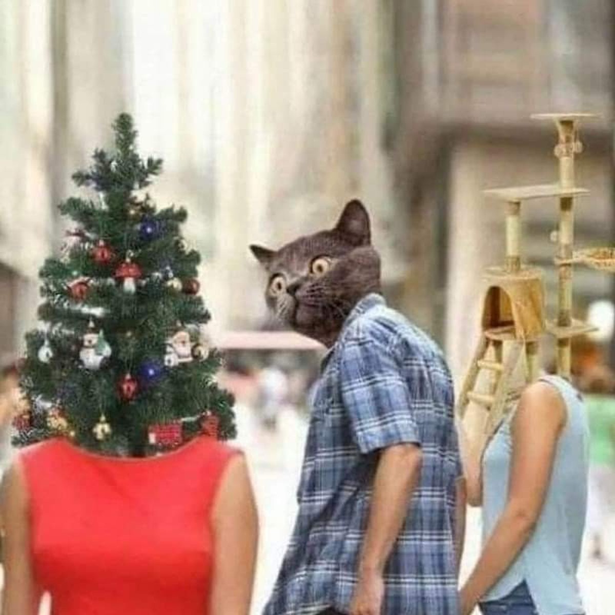 Picdump 67 – herzlich willkommen in der Manege der Memes\n🌲😹