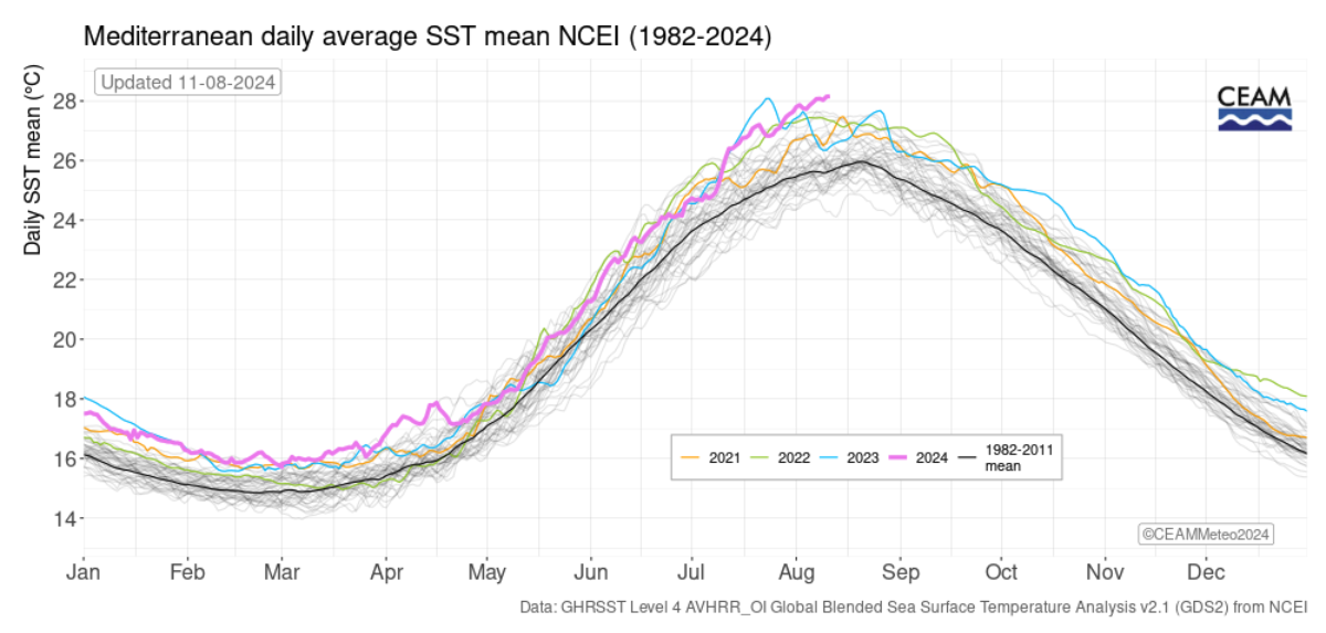 Noch nie war die Temperatur der Meeresoberfläche so warm wie im August 2024.