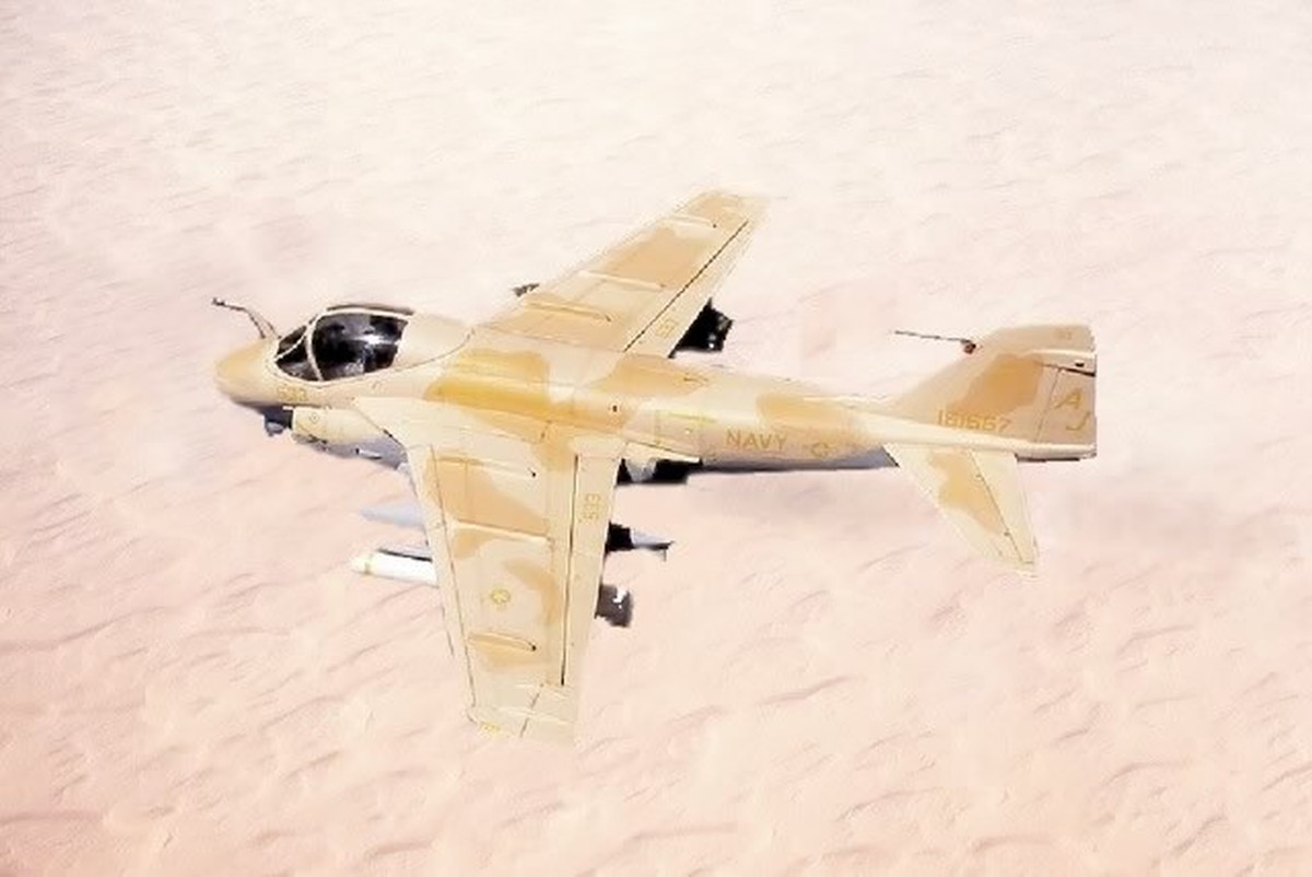 Grumman A-6 Intruder.
Wenn Flugzeugtarnung wirklich funktioniert. 
https://www.gengriz.co.uk/Rifrafweb/rifraf2a.htm