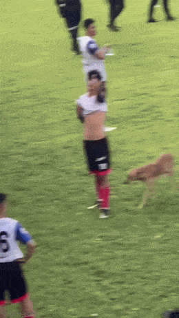 Animiertes GIF
