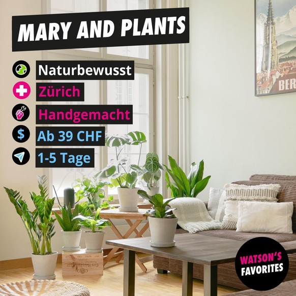 Die Pflanzenwelt von Mary and Plants.