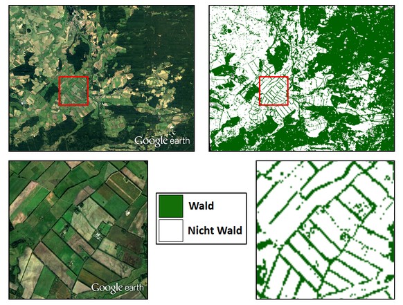 Waldkarte