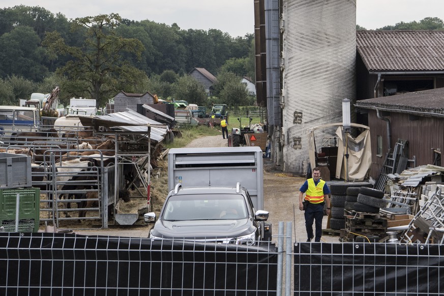 Die Polizei sichert die ersten Tiere vom Hof von Ulrich K., der wegen der Quaelerei von Pferden unter Verdacht steht, aufgenommen am Dienstag, 8. August 2017, in Hefenhofen. (KEYSTONE/Ennio Leanza)