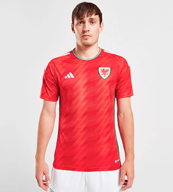 Fussball WM 2022: Trikot Wales