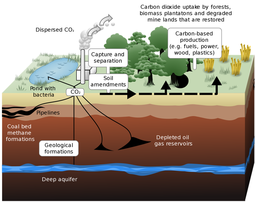 Schematische Darstellung der terrestrischen und geologischen Sequestrierung von Kohlendioxidemissionen aus einem fossilen Kraftwerk.