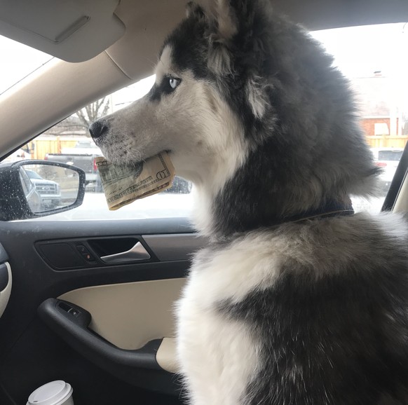 Husky mit Geld
Picdump
https://imgur.com/gallery/jy1lE