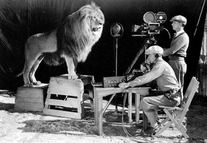Löwe Jackie posiert in den 20er Jahren für das weltberühmte MGM-Logo. Im Gegensatz zu seinem stillen Vorgänger Slats, brüllt dieser König in die Kamera.&nbsp;