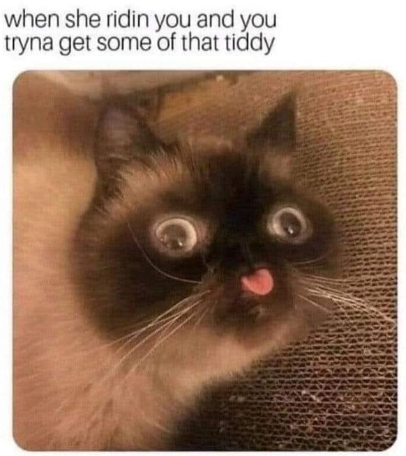 Sexy Memes (Vertretung)