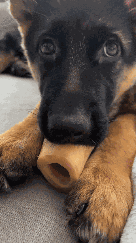 Animiertes GIF