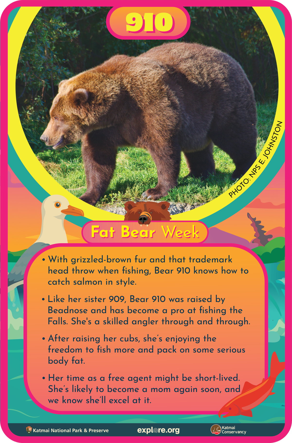 Bär 910 Fact Card