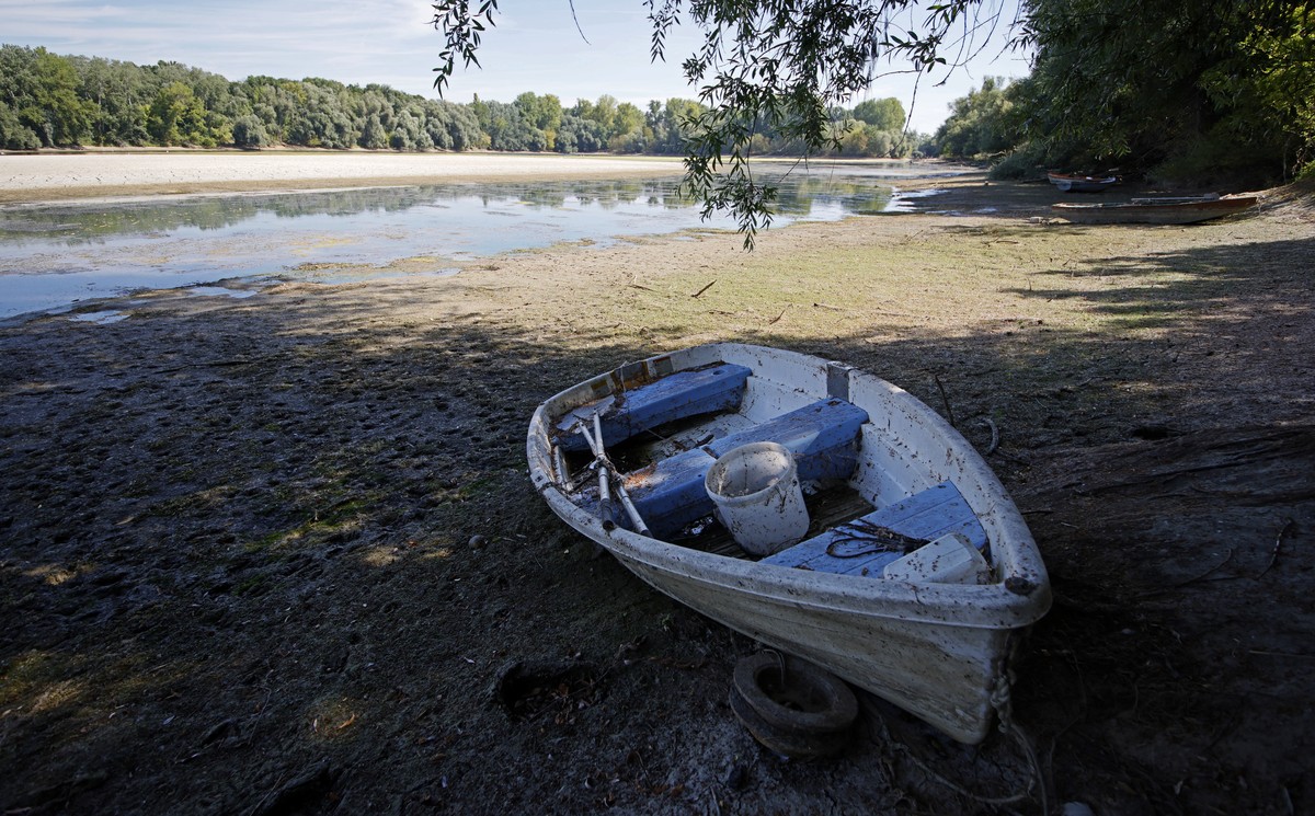 epa10105310 A part of an old Rhine arm with low water level at the Rhine river in Ketsch near Mannheim, Germany, 04 August 2022. The river level in Speyer has currently dropped to 211 centimetres. The ...