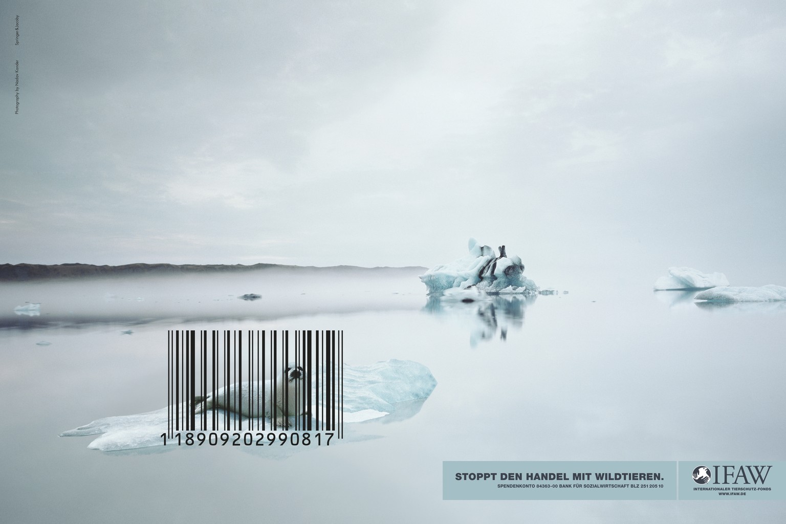 Der IFAW (International Fond for Animal Welfare) sorgt mit seinen Plakaten für mehr Sensibilität bezüglich dem Wildtierhandel.&nbsp;