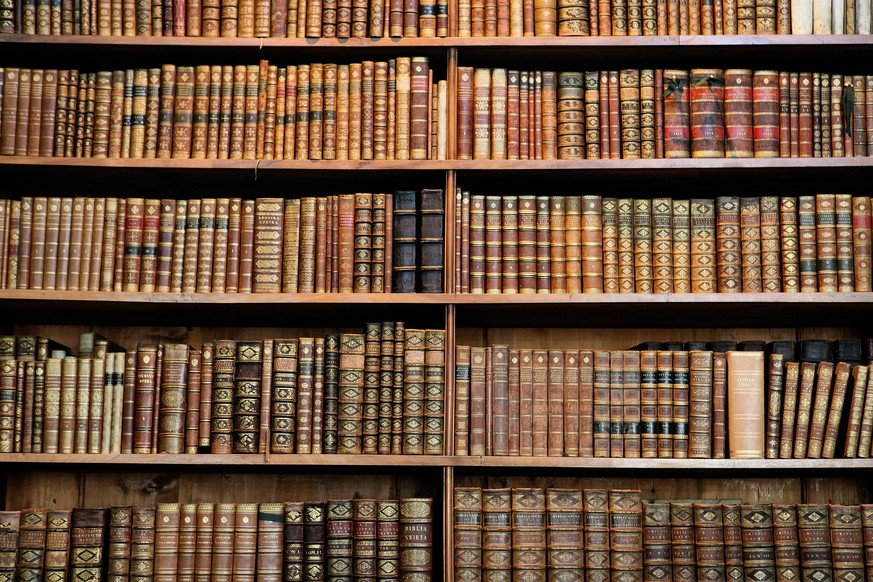 Bücherwand, Büchergestell, alte Bücher, Buchrücken (Symbolbild)