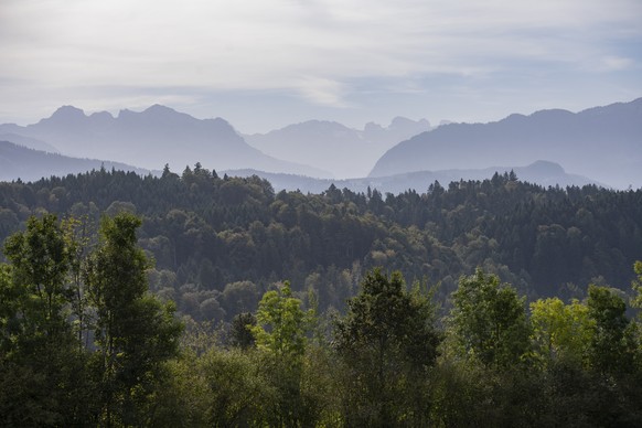 Ein Wald mit noch immer gruenen Baeumen bei warmem Herbstwetter in der Gemeinde Adligenswil im Kanton Luzern am Dienstag, 10. Oktober 2023. (KEYSTONE/Urs Flueeler).