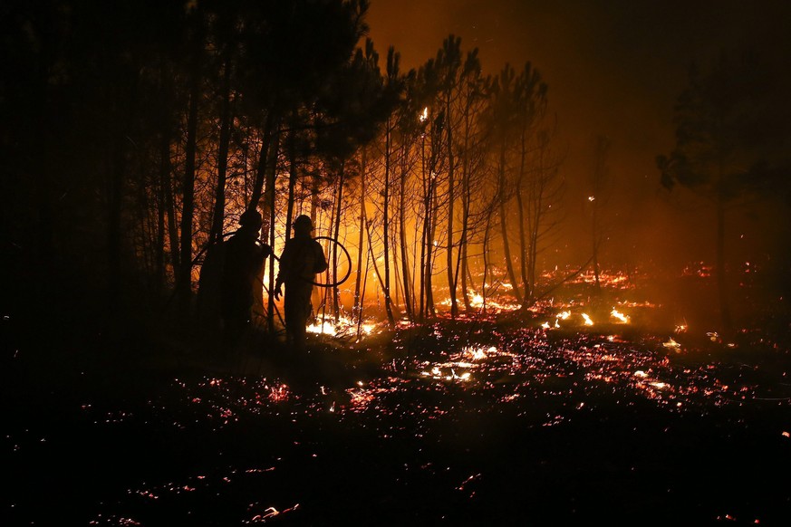 Im vergangenen Jahr waren bei Bränden insgesamt mehr als 94'000 Hektar Wald zerstört worden. 