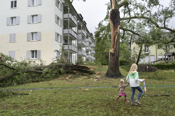 Umgestuerzte Baeume und abgebrochene Aeste behindern nach dem schweren Unwetter in Zuerich am Dienstag, 13. Juli 2021, den Verkehr und das Durchkommen fuer Fuessgaenger und verursachen zahlreiche Scha ...