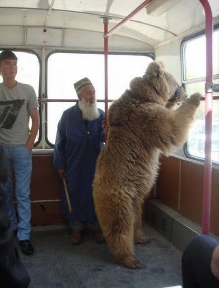 Gelangweilt vom Schweizer ÖV? Hier kommen 21 Dinge, die nur in Russland im Zug passieren
