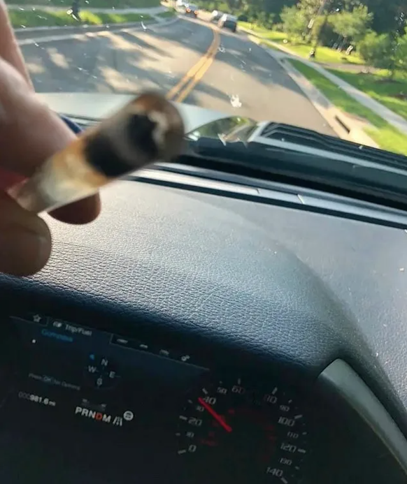 Hunter Biden smokes crack in the car.