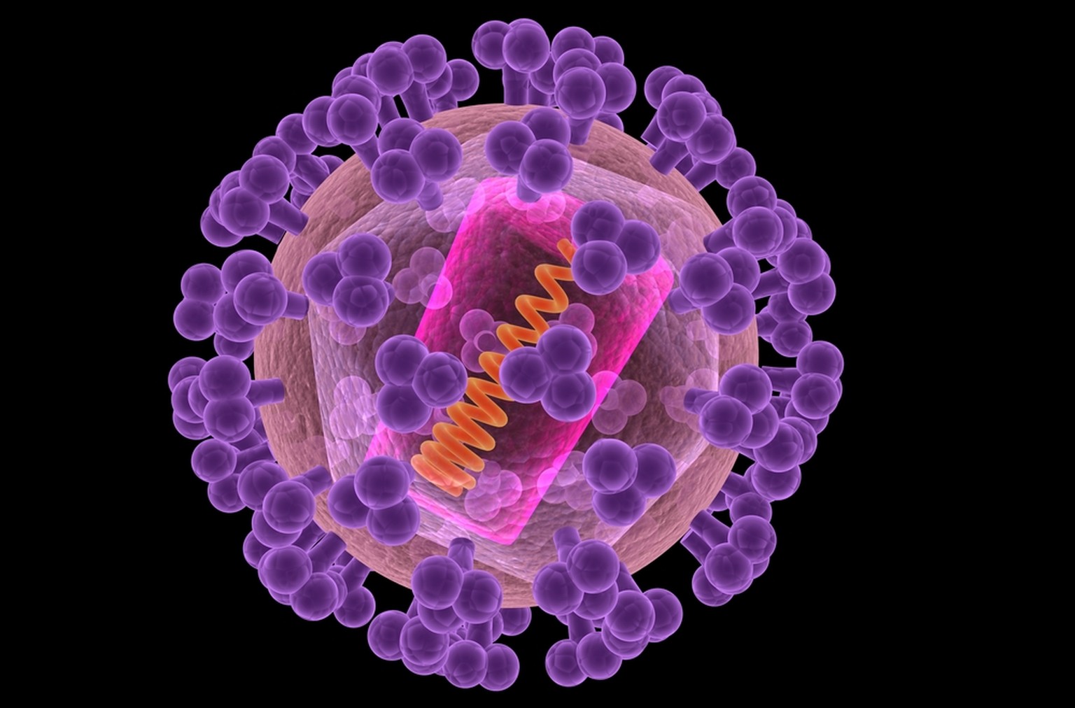 Hi-Virus: Makaken produzieren Impfprotein selbst.